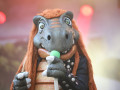 live 20250815 01 heavysaurus
