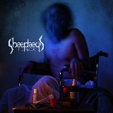 Sheephead - The Plaque