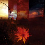 To-Mera - Transcendental