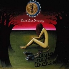 The_Divine_Baze_Orchestra_-_Dead_But_Dreaming