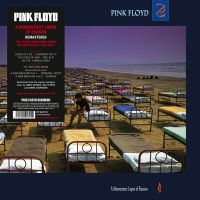 Pink Floyd A Momentary Lapse Of Reason VRR