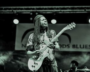 Bernard Allison coloriert Fotocredit Lisa Grey